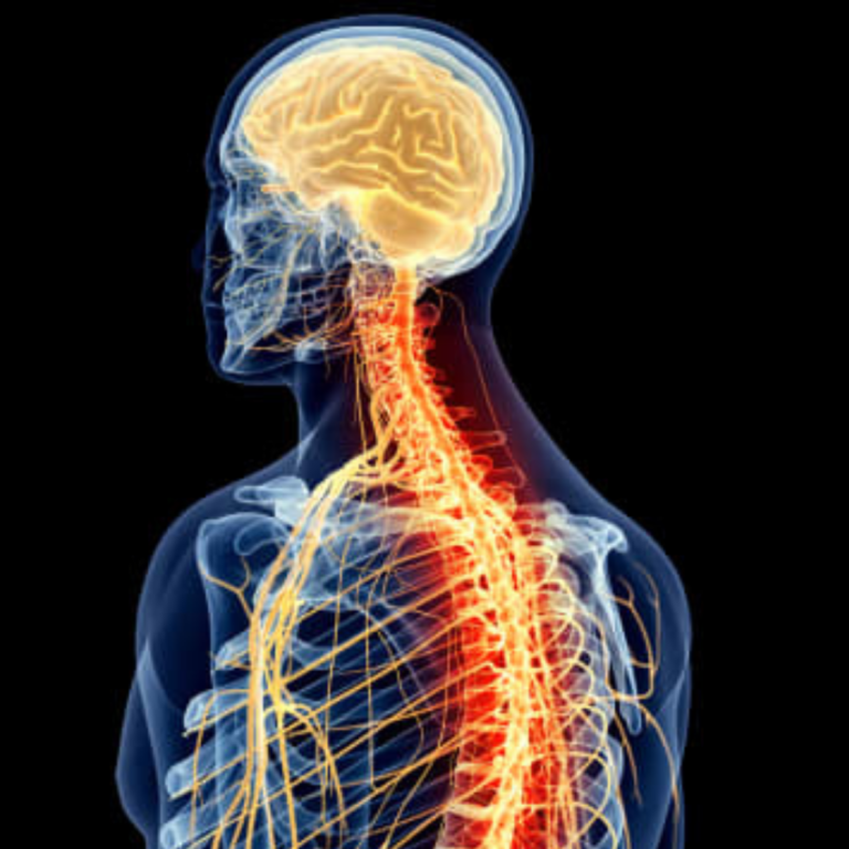 Central Nervous System Pharmacology